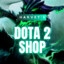 HARVEY&#039;S DOTA SHOP (ACC 2)