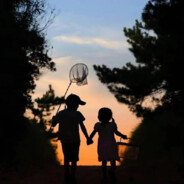 Online（热点网）