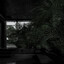 Hide on bush