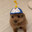 _pixu8