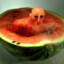 Watermelon Revenge