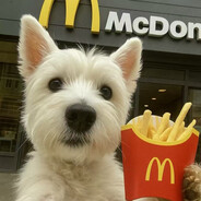 你也要来一根薯条吗