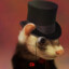 Fancy Ferret