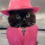 Whiskas