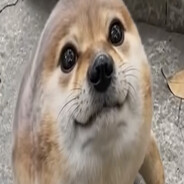 cutestabram