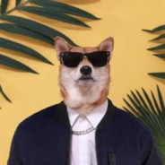 青青草原懒大王