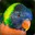 Greengecko27