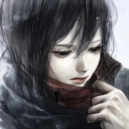Mikasa