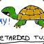 Turtile