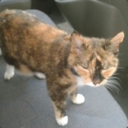 Souly - steam id 76561197960488155