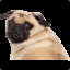 ✪Dogda✪☭