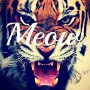 Meow ❥︎ Make Love