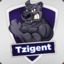 Tzigent