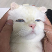 [暴力锁头]-先知预判?