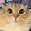 Godofcat21