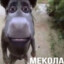 Отчимус Прайм