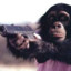 monkey_gunner