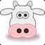 Salty Cow