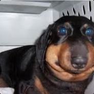 Vooni