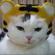 又高又帅又迷人