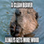 Clean[Beaver]