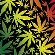 kAyA - steam id 76561198821537295