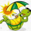 Lazy Turtle