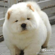 翻斗花园的牛爷爷