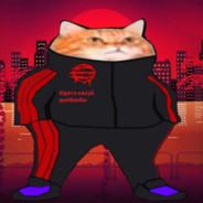 121233