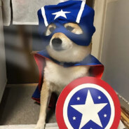 怎样才算被定义