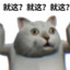 疯狂的大马猴12123