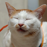 自其不变者而观之，则物与我皆无尽也