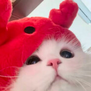 翻斗花园第二牛爷爷