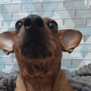 Мистер Салли