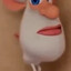 rat