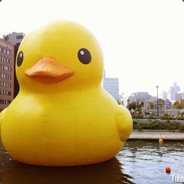 Ducking3