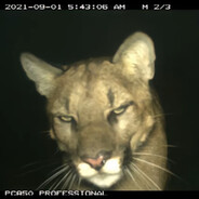 💦ㅤOsĸᴉㅤ💦