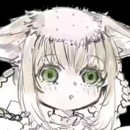 圣马丁小伙子SMD