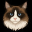 Pupin