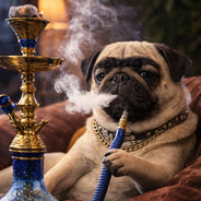 ПУССИ НИГГЕР