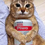 MeowFPS
