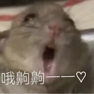 草莓味小熊软糖