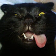 _КоТэ_ПоД_нАрКоТэ_