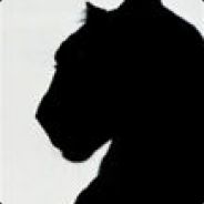 Polcat - steam id 76561197963324100