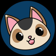 Raid Kitty avatar
