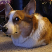 skip - steam id 76561199711611311