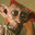 Dobby's Special Sock