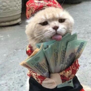 翻斗花园突破手胡图图