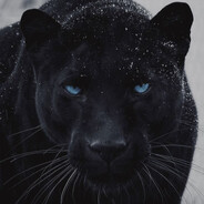 mαѕtαr avatar