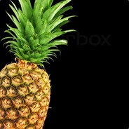 _lewisb2407_